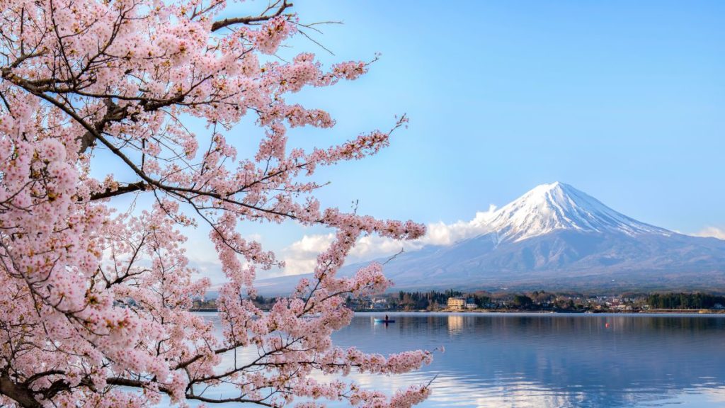 Conquered All 47 Prefectures: Trip Notes, Costs & Must-See Spots