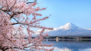 Conquered All 47 Prefectures: Trip Notes, Costs & Must-See Spots